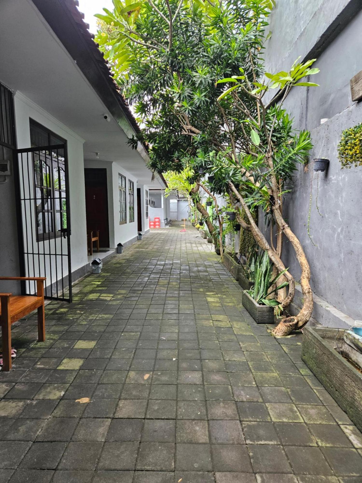 Rumah Kayu Putih Wisma tamu